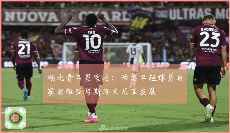 湖北青年星官方：两名年轻球员赴塞尔维亚与斯洛文尼亚发展