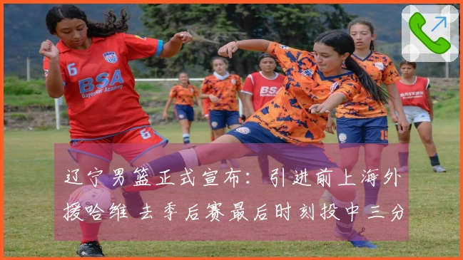 辽宁男篮正式宣布：引进前上海外援哈维 去季后赛最后时刻投中三分绝杀广东