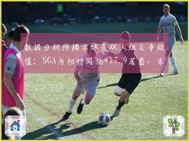 数据分析师揭示球星双人组合净效值：SGA与切特同场+17.9居首，东詹则排名最低